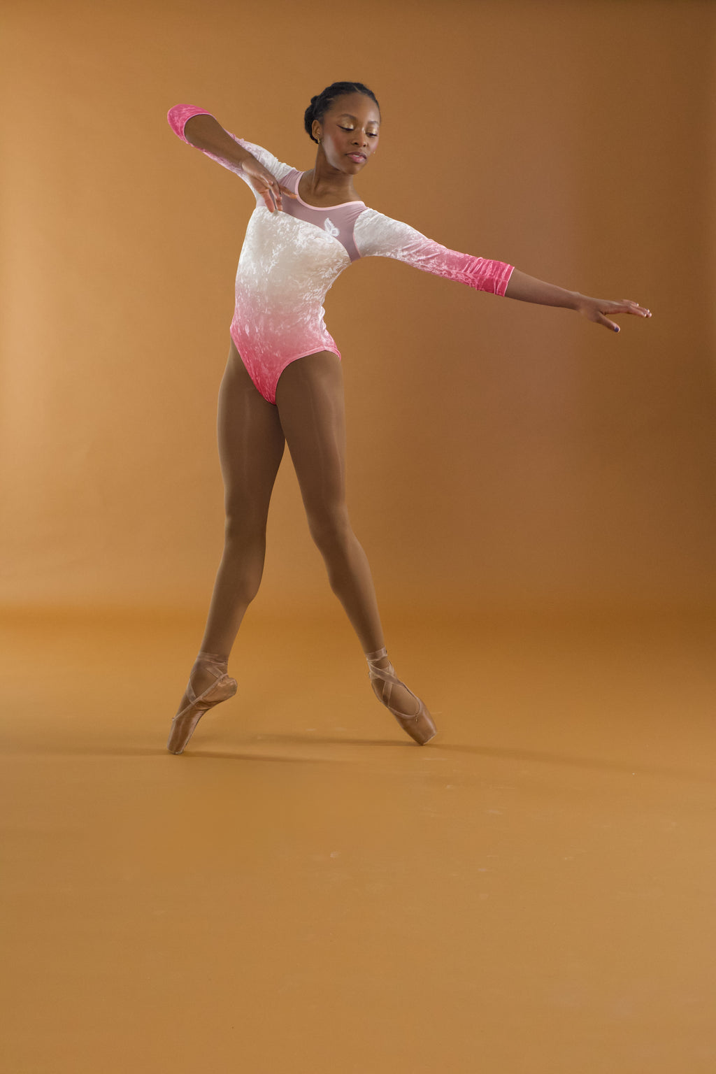 🌸 The Waltz Leotard | Pink Ombré Velvet