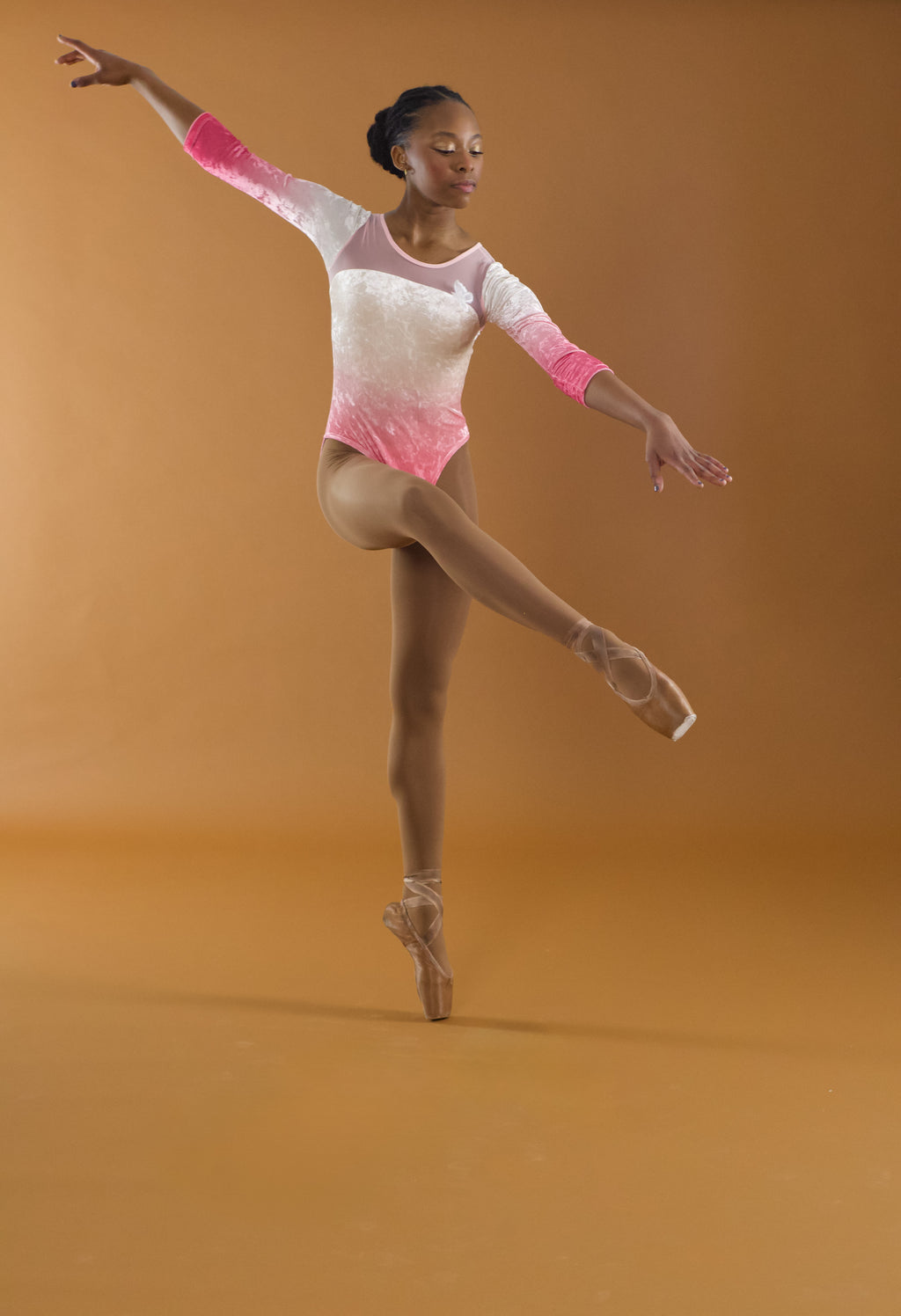 🌸 The Waltz Leotard | Pink Ombré Velvet